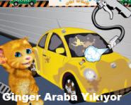 Ginger Araba Yıkıyor